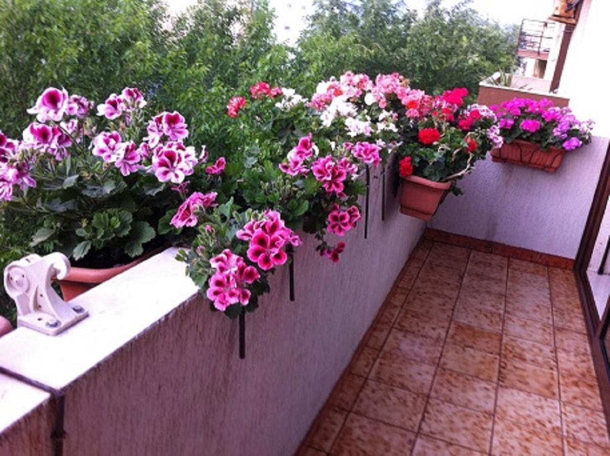 אלגהרו B&B Casa Mia מראה חיצוני תמונה