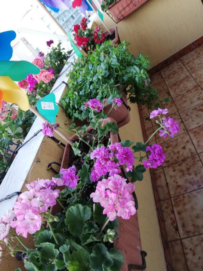 אלגהרו B&B Casa Mia מראה חיצוני תמונה